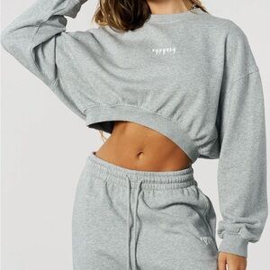 EUC YoungLa  Classic Gray Cropped Sweater Size XS